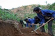 Lai Châu: Cây cao su trên huyện mới 